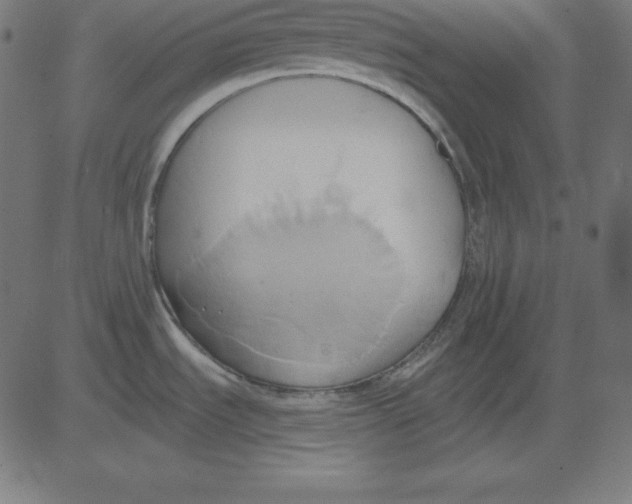 X0000081301535200702012256