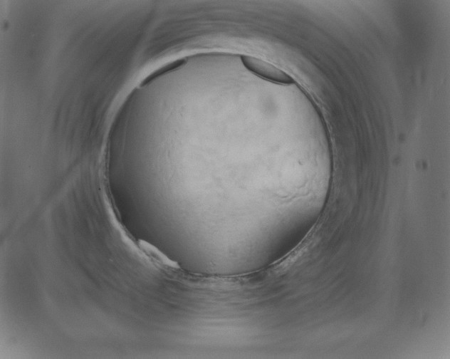 X0000081301536200702012257