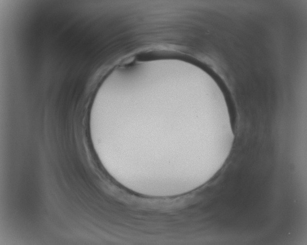 X0000081300001200702082056