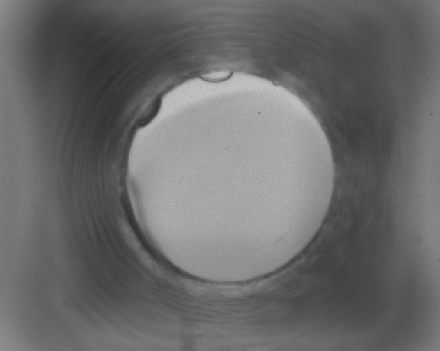 X0000081300002200702082056