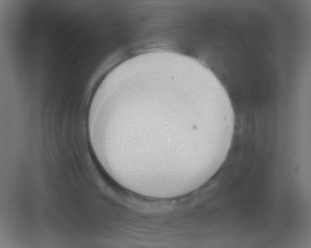 X0000081300004200702082056