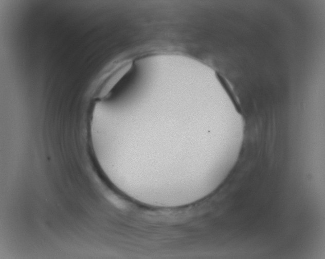 X0000081300005200702082056