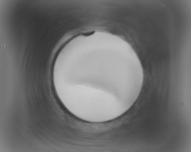 X0000081300006200702082056