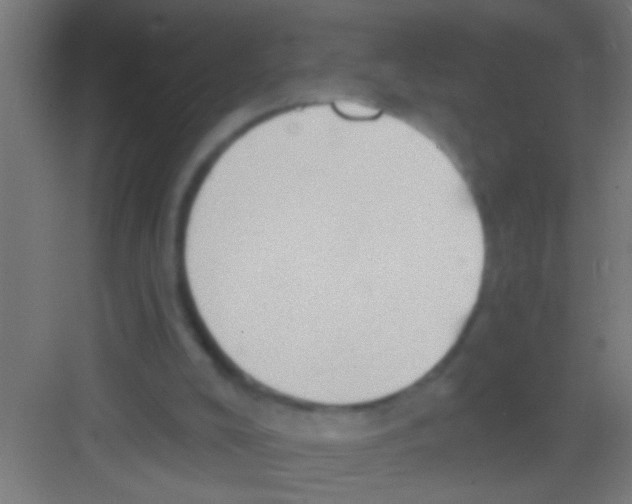 X0000081300008200702082056