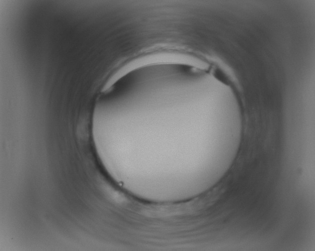 X0000081300009200702082056