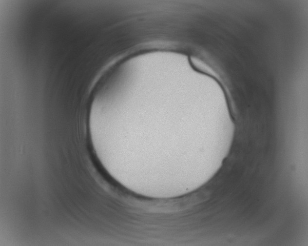 X0000081300011200702082056