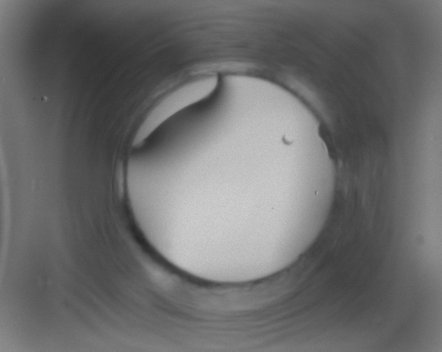 X0000081300013200702082056