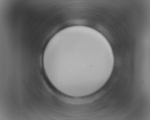 X0000081300014200702082056