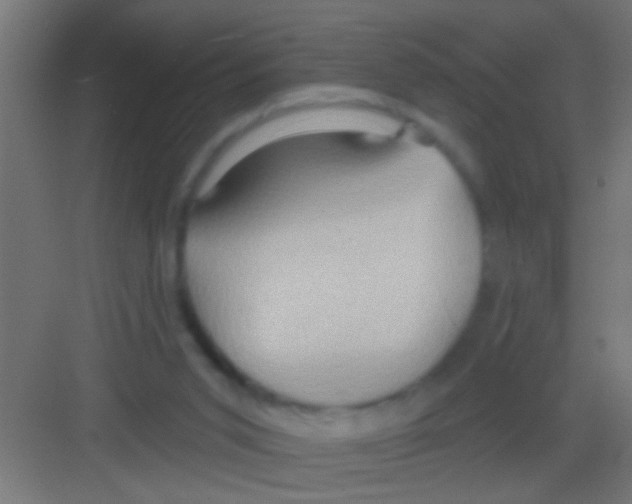 X0000081300015200702082056