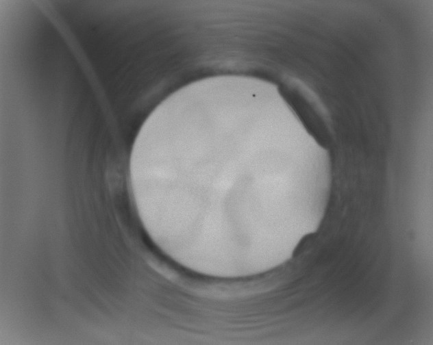 X0000081300017200702082056