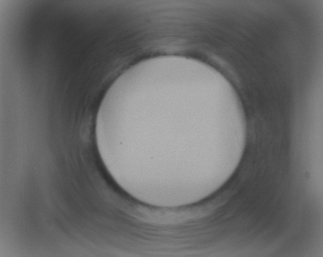 X0000081300018200702082056