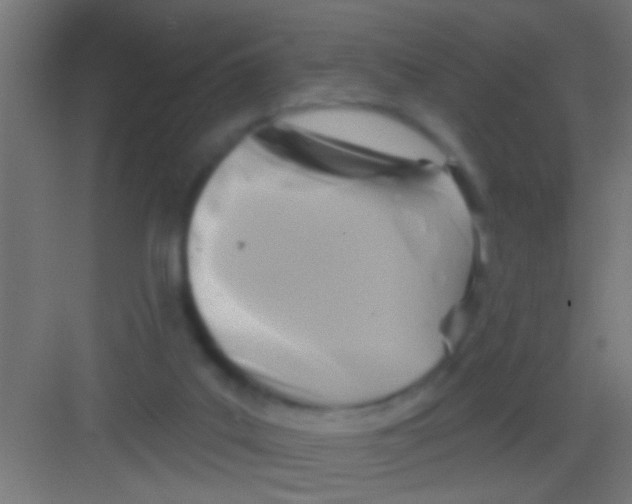 X0000081300019200702082056