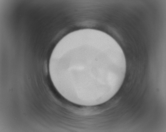 X0000081300020200702082056