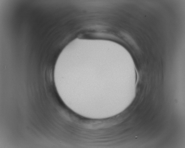 X0000081300021200702082056