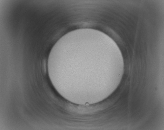 X0000081300022200702082056