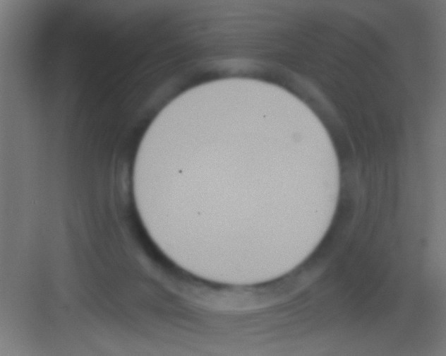 X0000081300024200702082056