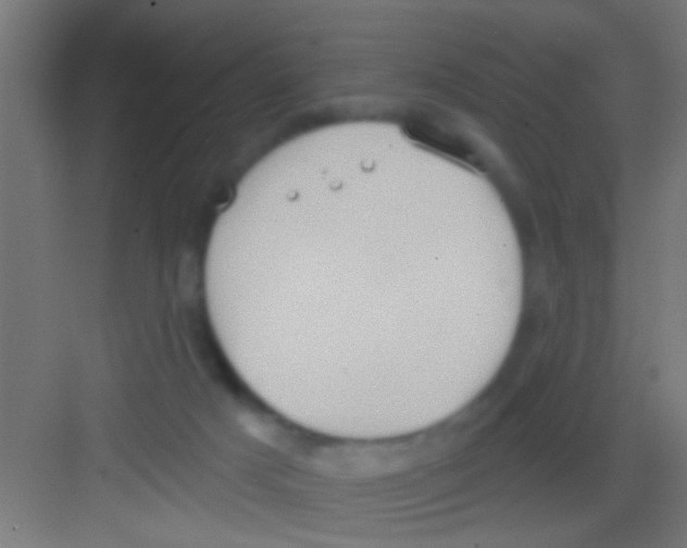 X0000081300025200702082056