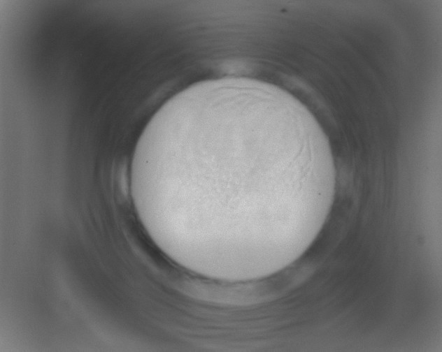 X0000081300028200702082056