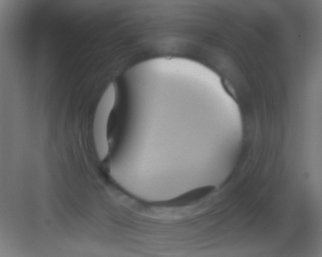 X0000081300029200702082056