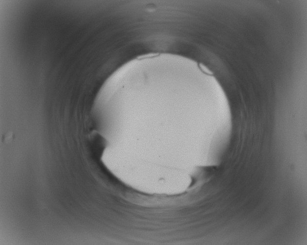 X0000081300031200702082056