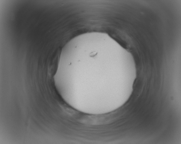 X0000081300033200702082056