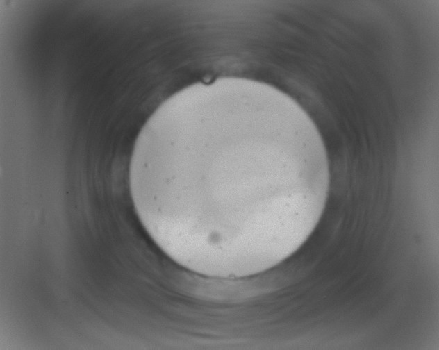 X0000081300034200702082056