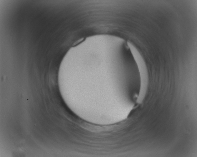 X0000081300035200702082056