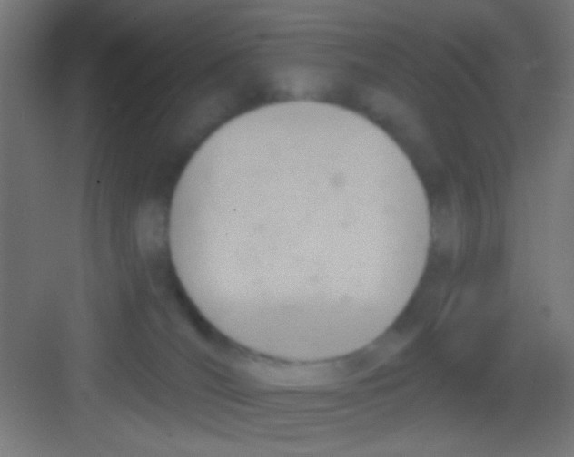 X0000081300036200702082056