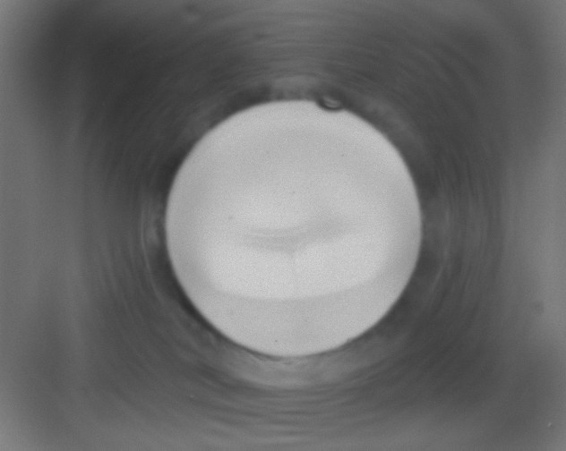 X0000081300038200702082056