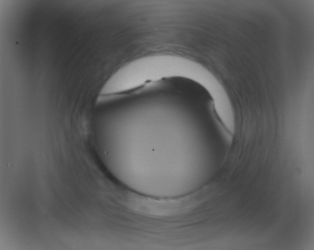 X0000081300039200702082056