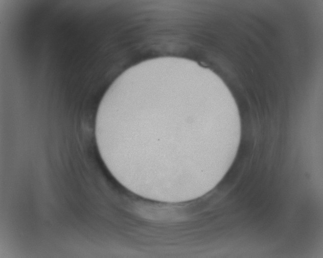 X0000081300040200702082056