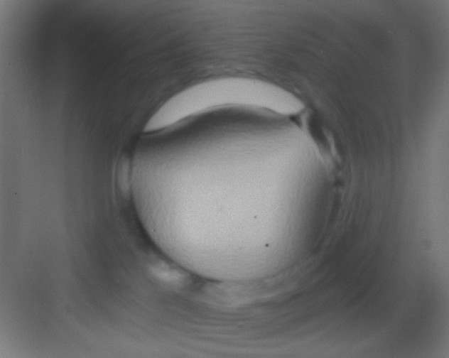 X0000081300041200702082056