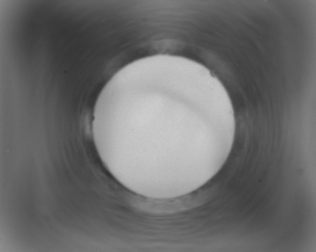 X0000081300042200702082056