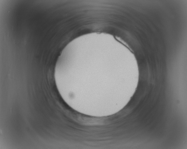 X0000081300044200702082056