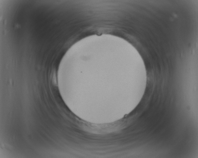 X0000081300046200702082055