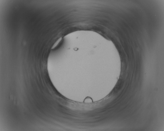 X0000081300048200702082055