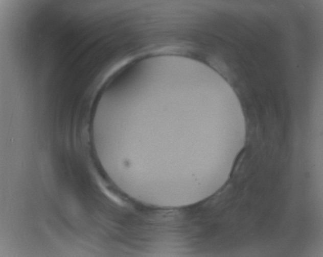 X0000081300050200702082055