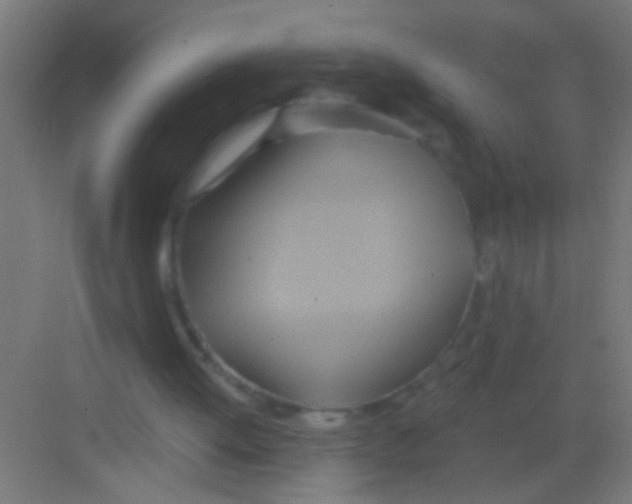 X0000081300052200702082055