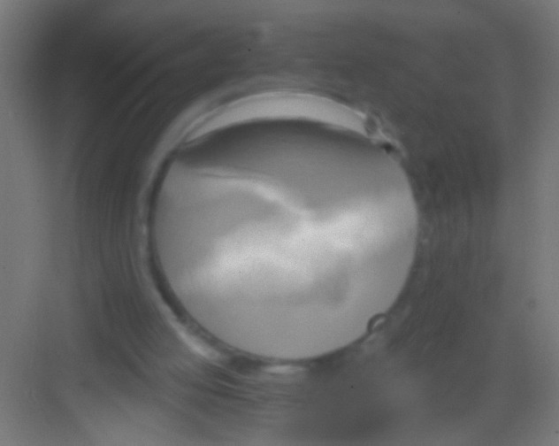 X0000081300053200702082055