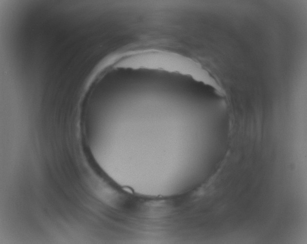 X0000081300054200702082055