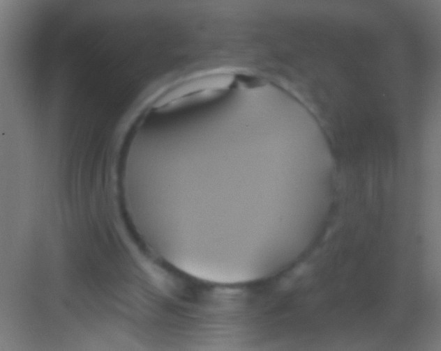 X0000081300055200702082055