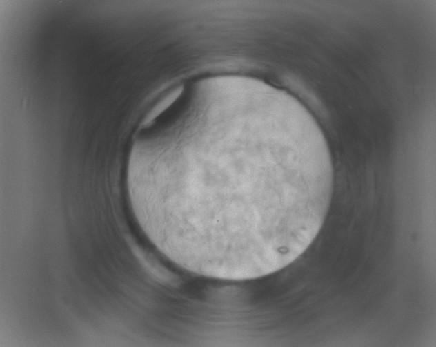 X0000081300058200702082055