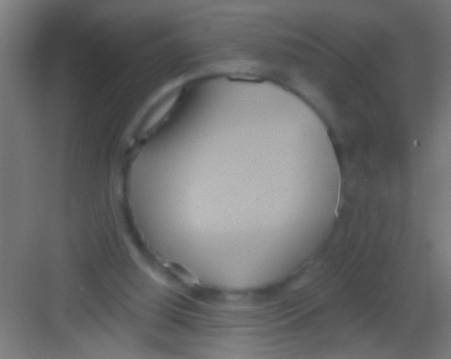 X0000081300060200702082055