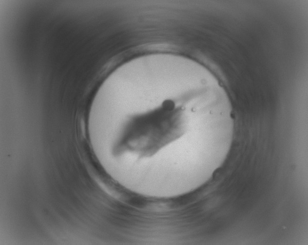 X0000081300061200702082055