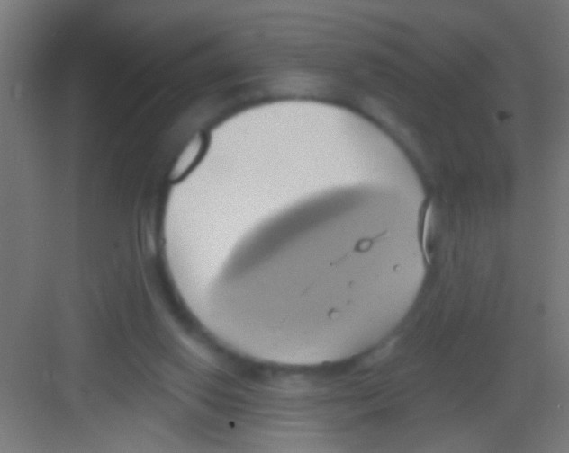 X0000081300062200702082055