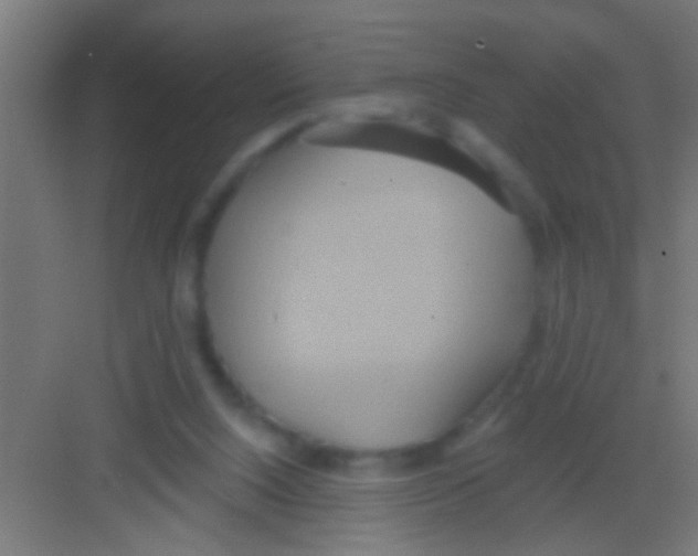 X0000081300064200702082055