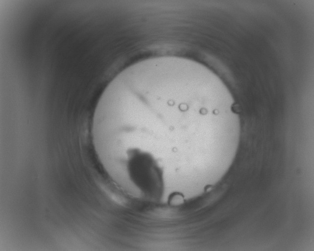 X0000081300065200702082055