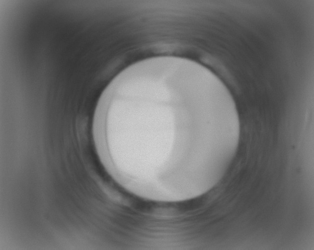 X0000081300066200702082055