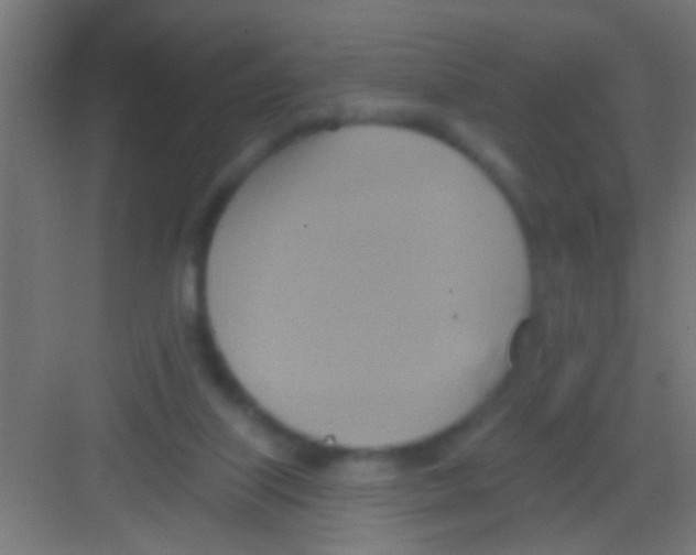 X0000081300067200702082055