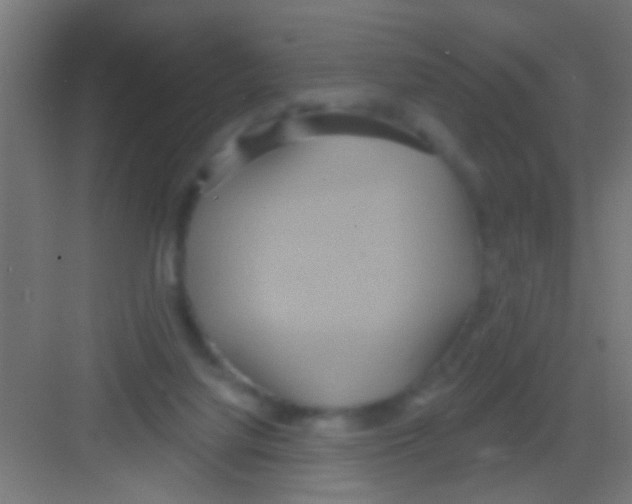 X0000081300068200702082055